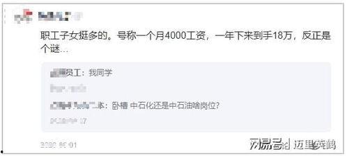 中石化最新爆料,行业变革背后的关键动态与战略布局