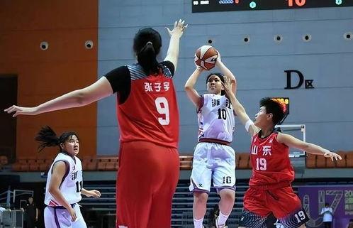 新星篮球爆料最新消息,最新赛事动态及球员动向揭秘