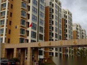 福明家园最新爆料,揭秘神秘项目背后的真相